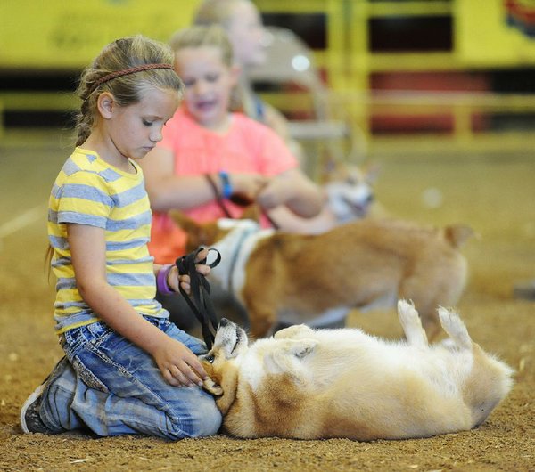 Dogs take ring in final day of Washington County fair