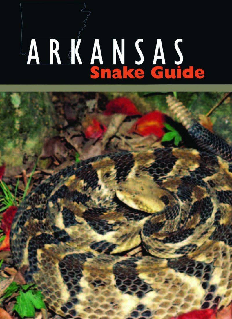 Cover of the free brochure by Arkansas Game and Fish Commission "Arkansas Snake Guide"