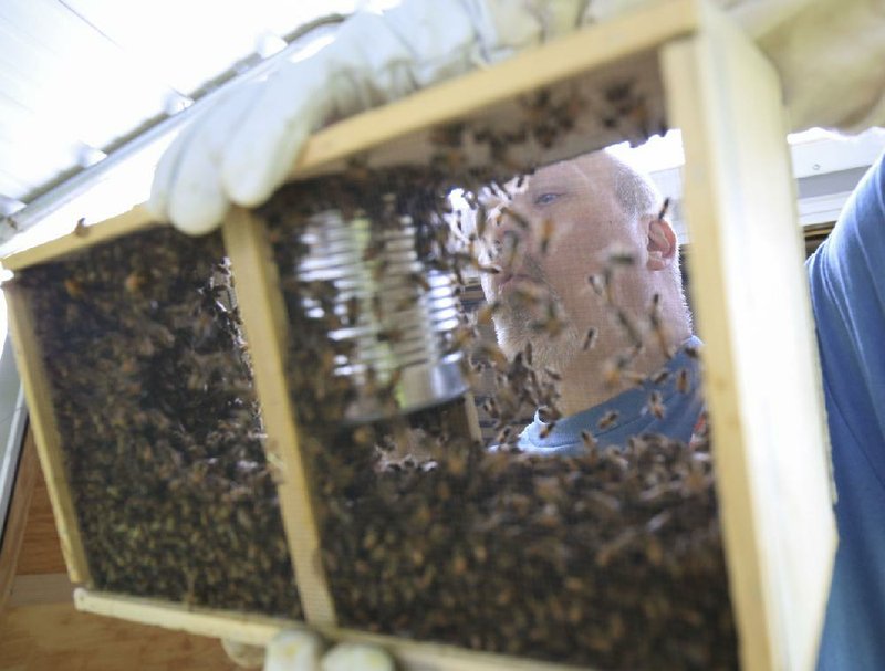 Bemis Honeybee Farm, a not-so-obvious selection for Celia Anderson’s new book "100 Things to Do in Little Rock Before You Die"