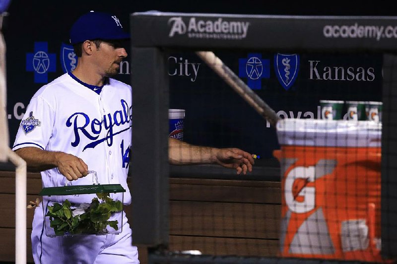 Billy Burns of the Kansas City Royals handles the team’s praying mantis before a recent game. The Royals elected to release their dugout good luck charm rather than take it on a road trip.