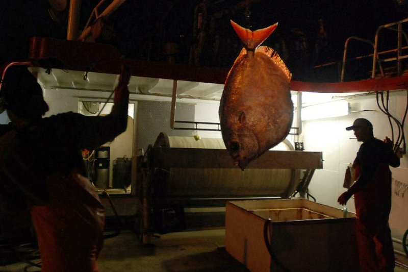 Foreign fishermen aboard an American fishing boat unload a moonfish at Pier 38 in Honolulu in March. About 700 foreign men work in a Hawaii fishing •eet without visas, thanks to a federal loophole written specifically for their ship owners. 