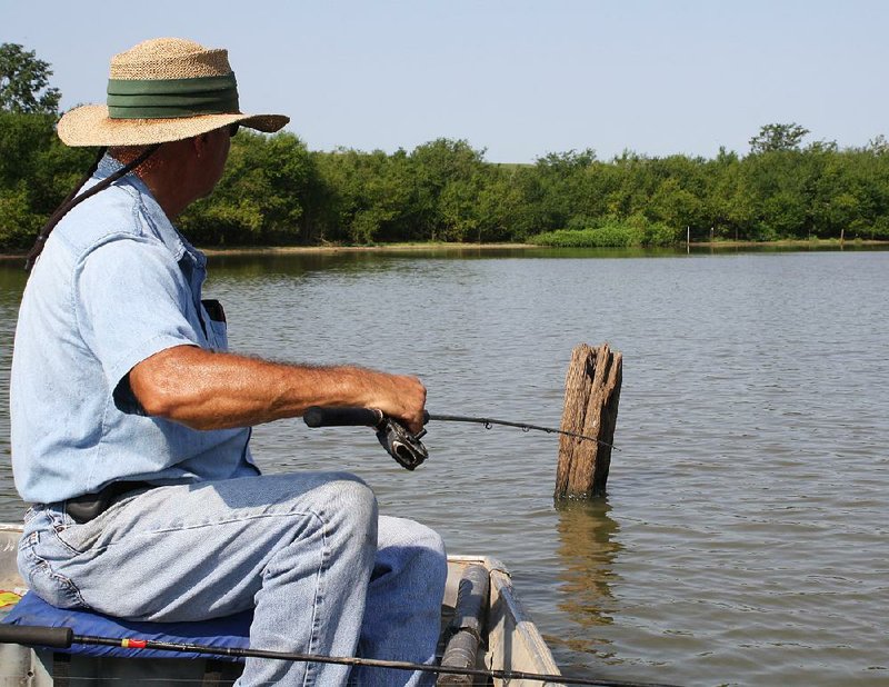 Roger Milligan catches crappie in late summer and early fall on the shady sides of trees, stumps and fence posts in ponds and lowlands.

