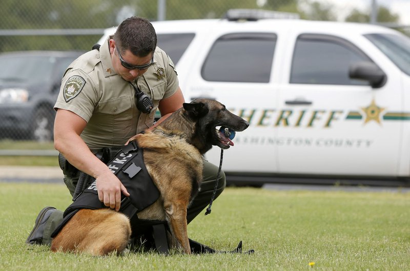 Sgt. T.J. Rennie with the Washington County Sheriff’s Office displays a new protective vest Wednesday on Ranger, a police dog with the Sheriff’s Office in Fayetteville.