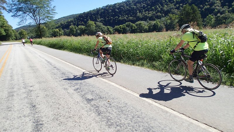 Riders Bill Kennedy (from left) Dan Ferritor, Karen Mowry and Tom Mowry roll along Arkansas 43, along the Buffalo National River on Sept. 2.