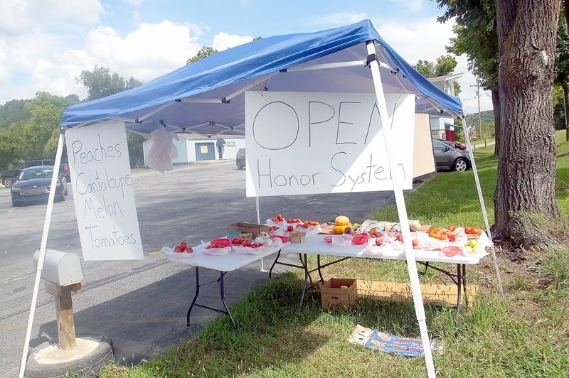 Lynn Atkins/The Weekly Vista The owner of this honor system vegetable stand in the parkng lot of the Wishing Spring Gallery said people appreciate his trust and few take advantage of him.