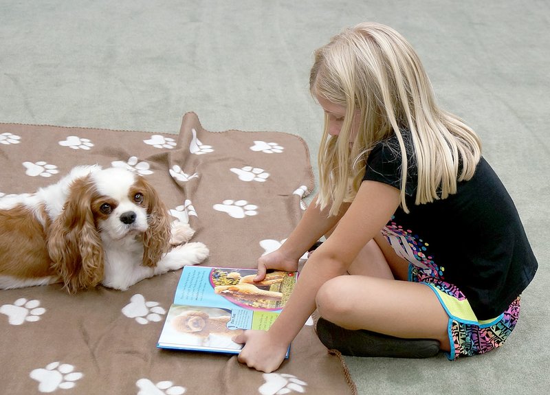 Rita Greene/McDonald County Press Kate Cheney participates in the Read to a Dog program Friday, Sept. 16 offered by the McDonald County Library in Pineville. The certified Therapy Dogs were provided by Joe and Carolyn Kozlosky of McDonald County.