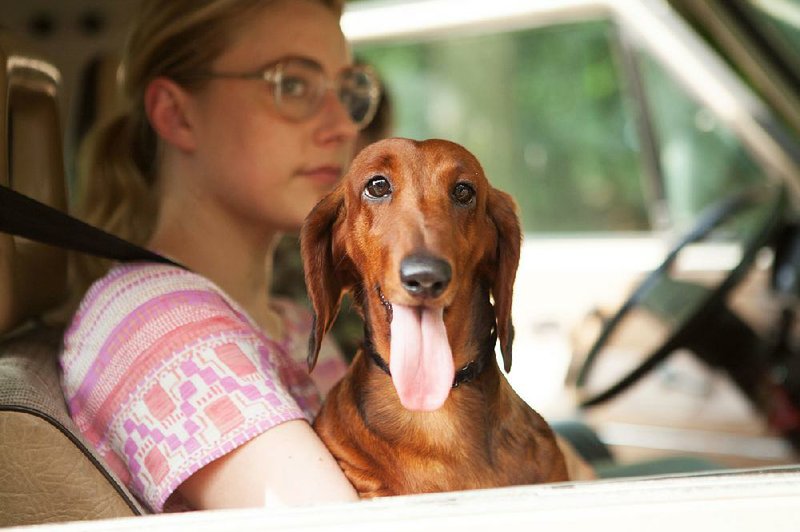 Greta Gerwig and the titular star of Todd Solondz’s Wiener-Dog, which was released on DVD this week
