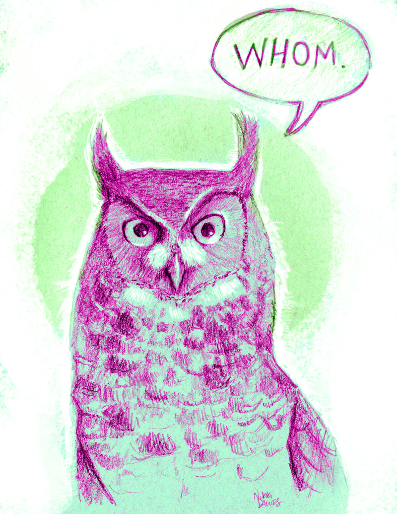 Arkansas Democrat-Gazette Owl Illustration