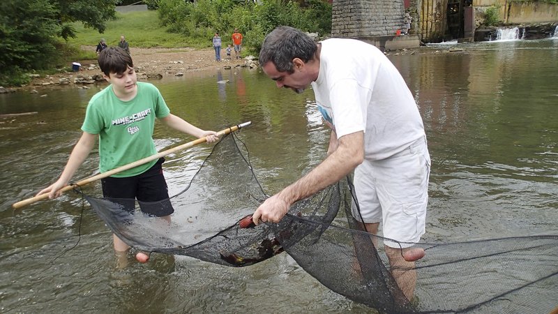 Johnathan Gaines, 12, and his dad, Michael Gaines see what they’ve caught Sept. 10 in their seine. Michael Gaines is president of the aquarium society.