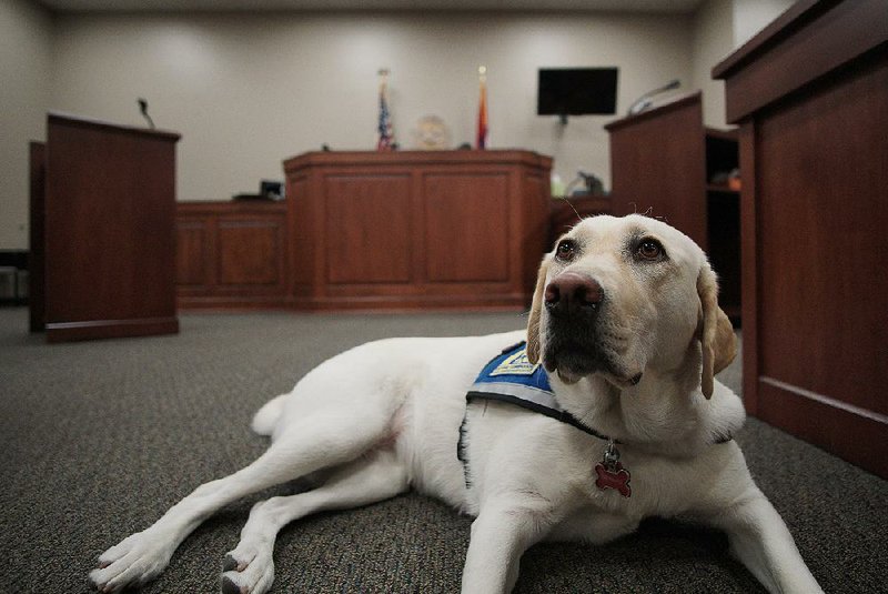 Barb, the Faulkner County courthouse dog, will be allowed to accompany a 10-year-old when she testifies in a sexual-assault case, a judge has ruled.