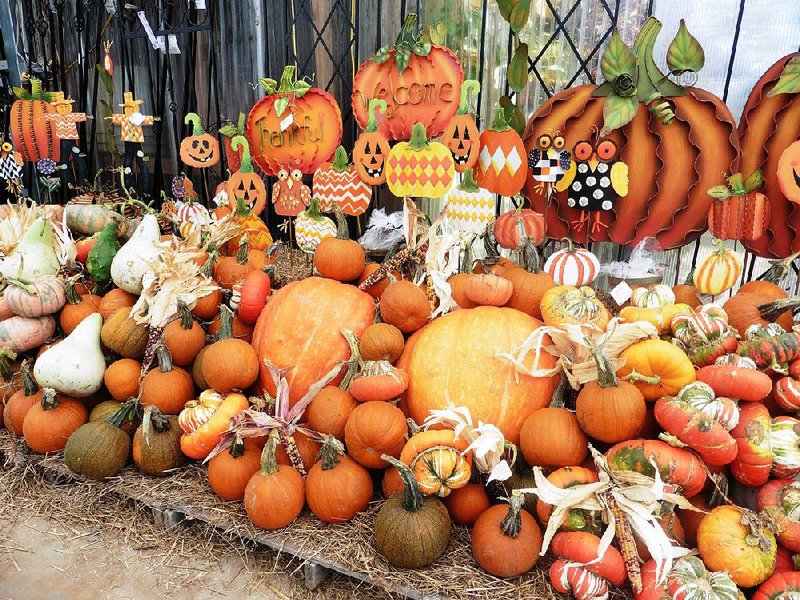 Pumpkins provide instant color in the fall — and that color doesn’t have to be orange.