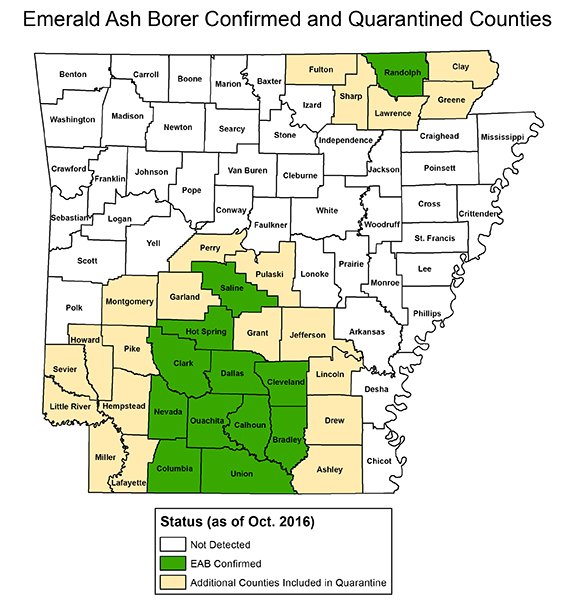 County added to EAB quarantine | Hot Springs Sentinel Record