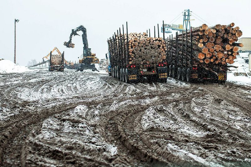 Trucks deliver logs at the Resolute Forest Products mill in Thunder Bay, Ontario, in January. U.S. trade representatives will meet today with Canadian trade ministers and Canadian industry groups to negotiate a new trade deal for softwood lumber. 