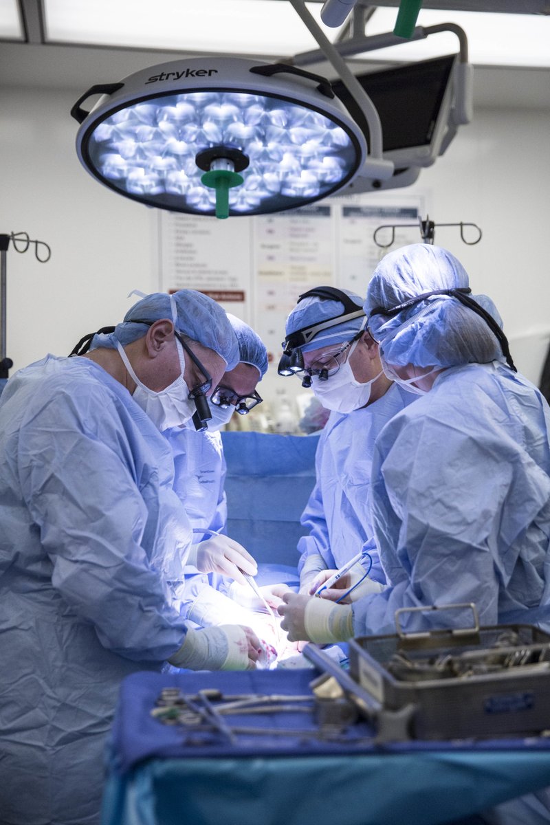 In this September 2016 photo provided by Baylor Scott &amp; White Health, surgeons perform a uterine transplant during a clinical trial at the Baylor University Medical Center at Dallas. 