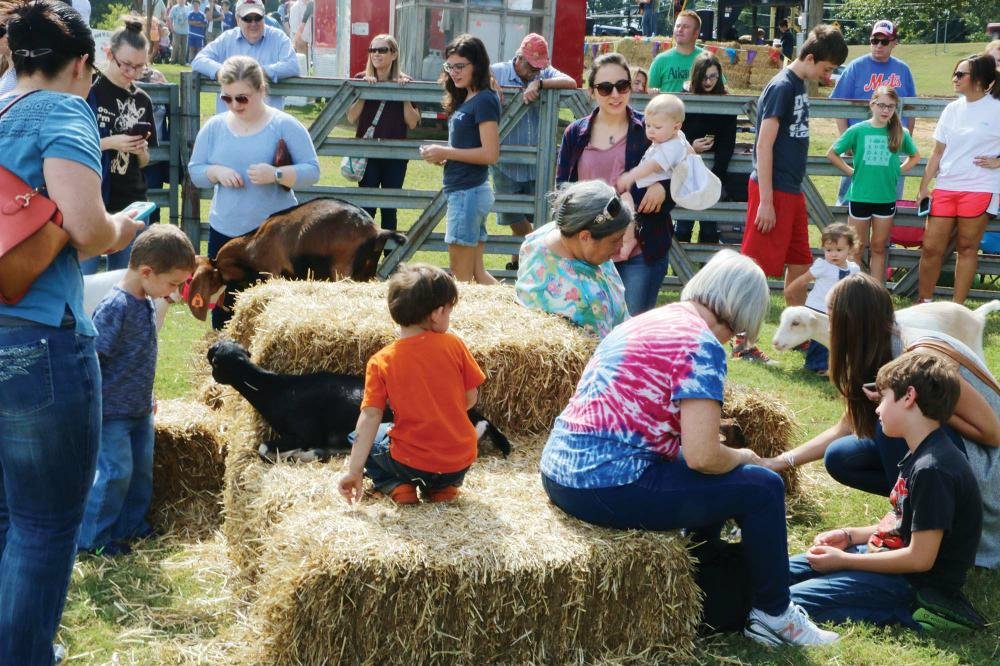 Arkansas Goat Festival, Perryville