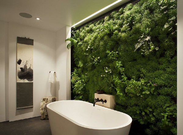 Use wall niches, floating shelves to display plants | The Arkansas  Democrat-Gazette - Arkansas' Best News Source