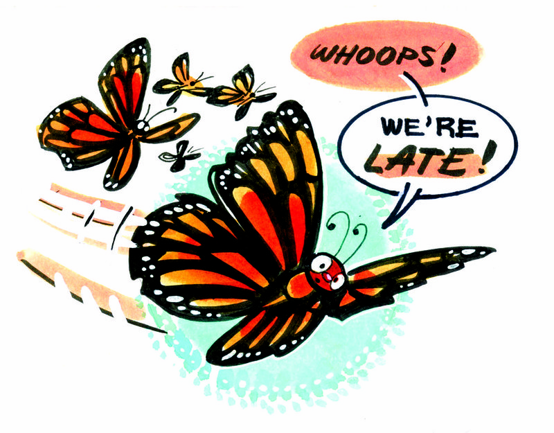 Arkansas Democrat-Gazette Butterfly Illustration