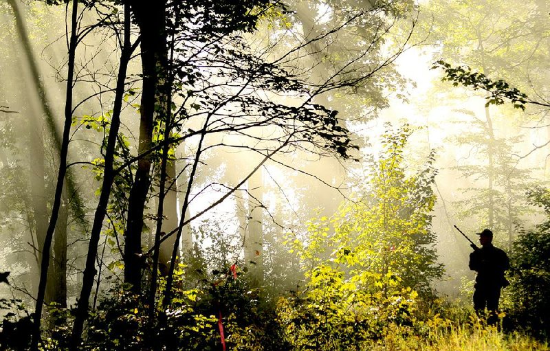 Paul Crutchfield of Prattsville scans trees for squirrels last Sunday in the Ozark National Forest in Johnson County.