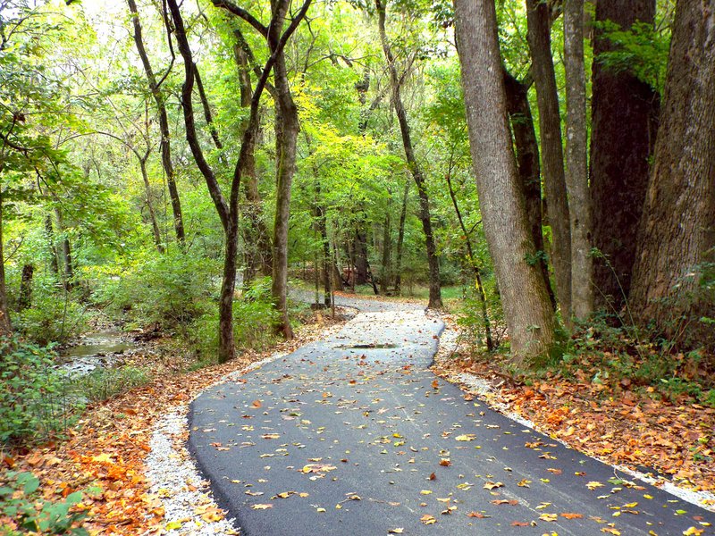 Photo by Randy Moll The new walking trail winds through the woods below the spring-fed fishing pond at the Flint Creek Nature Area in Gentry on Thursday (Oct. 13, 2016).