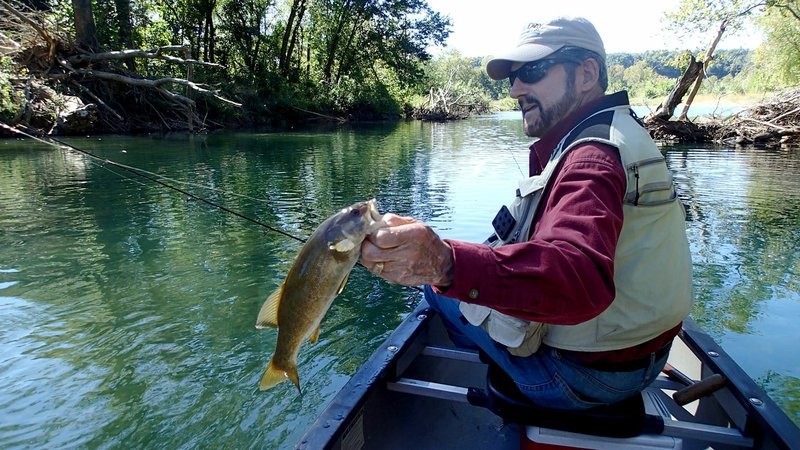 NWA Democrat-Gazette/FLIP PUTTHOFF Russ Tonkinson catches a smallmouth bass during a float trip Sept. 27 2016 on the Elk River near Pineville, Mo. The trip produced both largemouth bass and smallmouth bass caught mostly on tube baits.