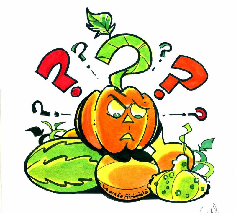 Arkansas Democrat-Gazette pumpkin illustration
