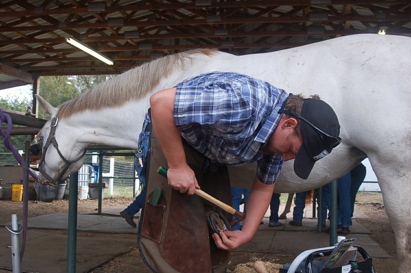 Will Davidson, a student from Farmington, Mo., puts a new shoe on Missy, a 6-year-old mare from Ola in Yell County.