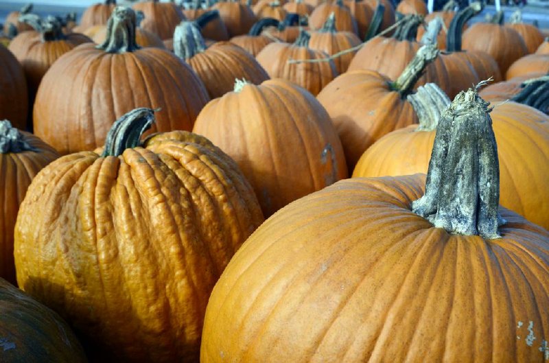 Pumpkins are good for more than jack-o’-lanterns.