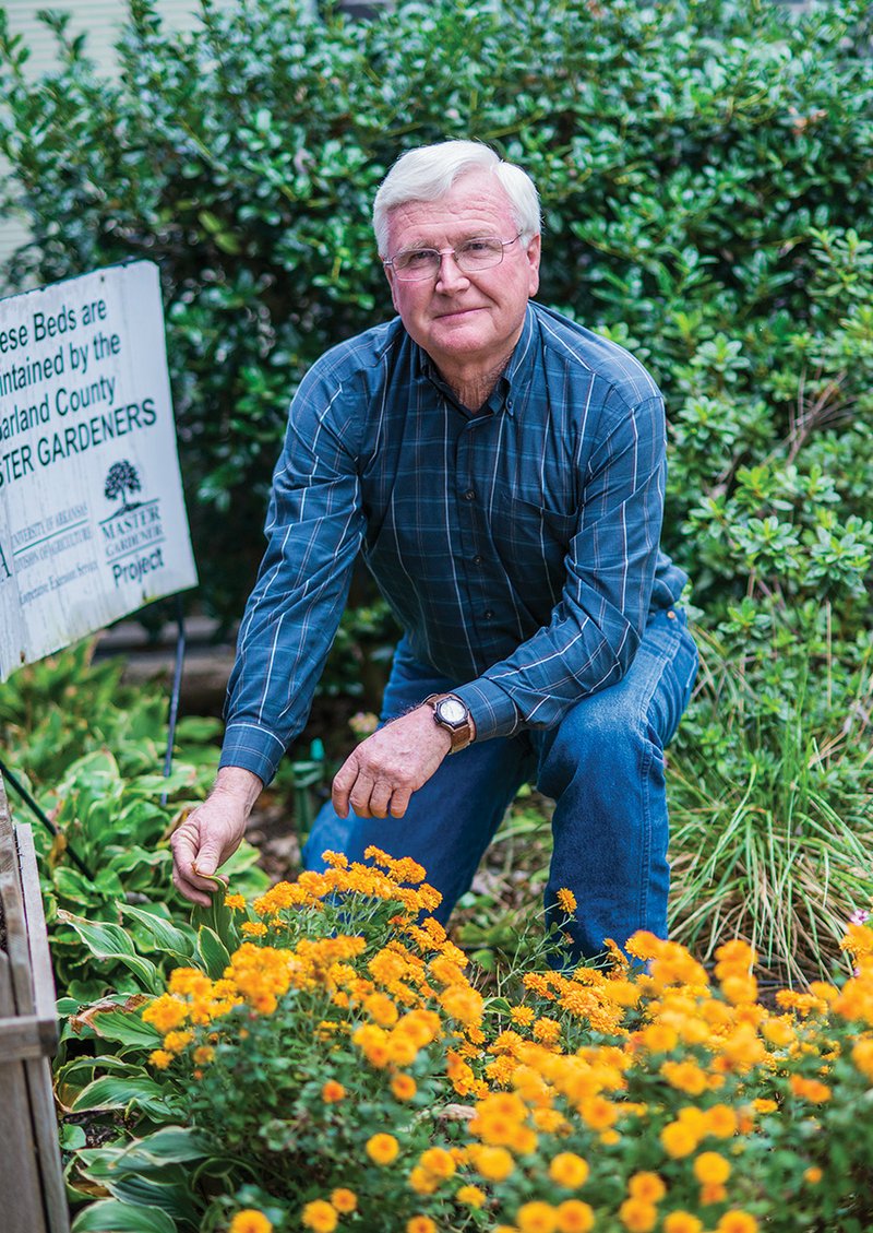 Allen Bates takes a look at one of the flower beds located in front of his office at the Garland County Cooperative Extension Service in Hot Springs, where he works as an agent for agriculture and horticulture. Members of the local Master Gardeners program maintain these flowerbeds, as well as those in several locations throughout town. Bates, who oversees the local Master Gardeners program, was named State Master Gardener Agent of the Year in June.