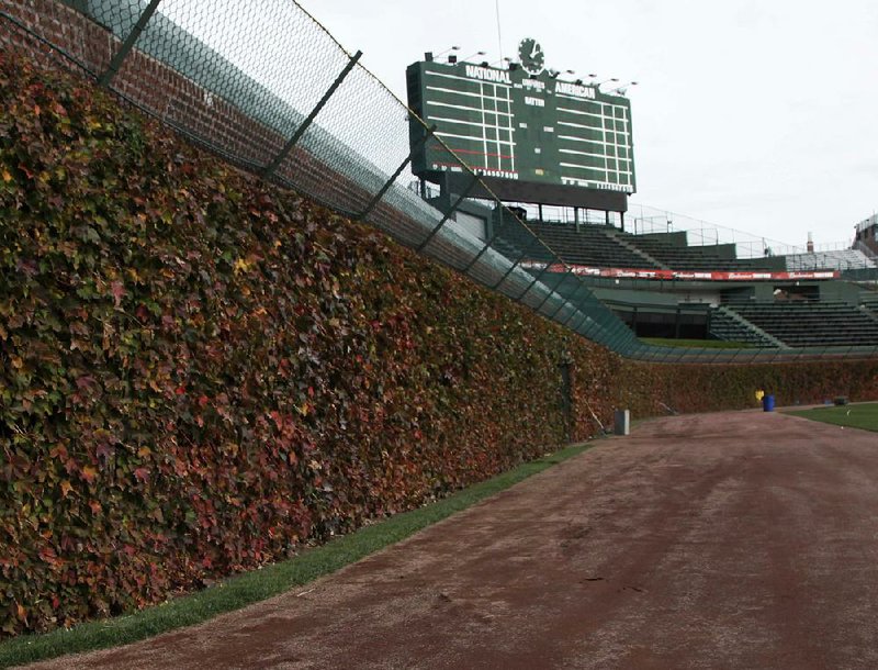 The ivy covering the outfield wall at Wrigley Field in Chicago is turning brown as the World Series shifts to the venerable Chicago Cubs stadium for the first time since 1945. But with no layers of playoffs, the last series game at Wrigley Field was played on Oct. 10. Tonight represents the latest date a baseball game has been played at Wrigley Field.