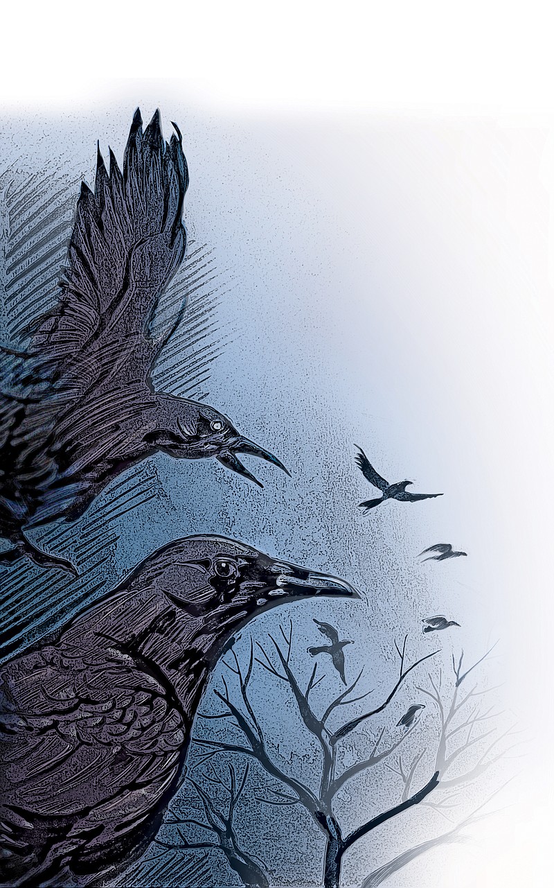 Arkansas Democrat-Gazette Crow Illustration