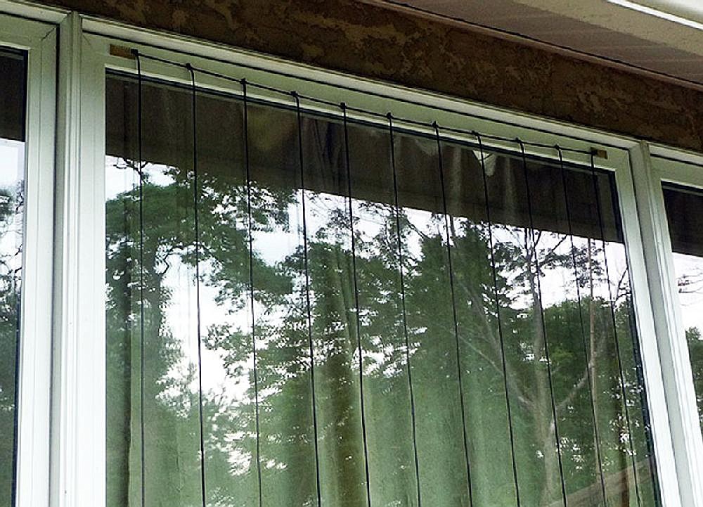 Films, screens sold to deter bird crashes | Northwest Arkansas Democrat ...