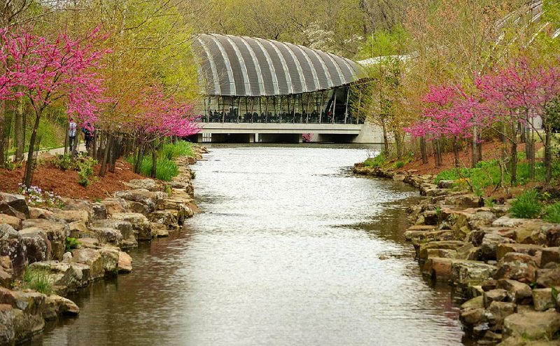 Redbuds bloom in April at Crystal Bridges Museum of American Art in Bentonville. About 2.7 million people have visited the center designed by renowned architect Moshe Safdie, who wanted to blend nature into the overall construction. 