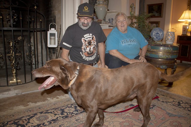LYNN KUTTER ENTERPRISE-LEADER Robert and Carrin Devor of Pea Ridge pick up their chocolate lab, Buford or &#8220;Boo,&#8221; in Prairie Grove last week. The dog had been missing for about seven years.