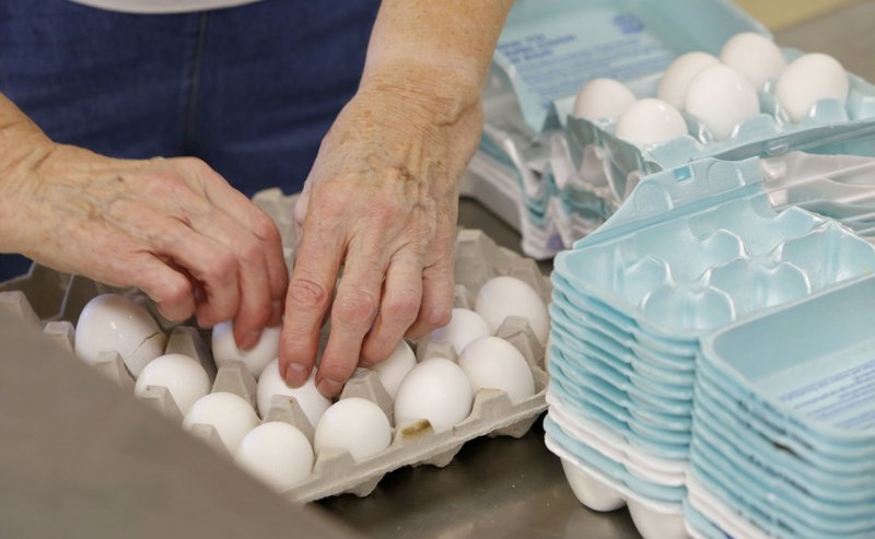 The hands of Marilyn Rehbein, an eight-year volunteer, divide eggs into smaller containers Nov. 2 at the Bread of Life food pantry at First United Methodist Church in Springdale. Many people will open their hearts and their grocery bags this season, donating items to area food banks.