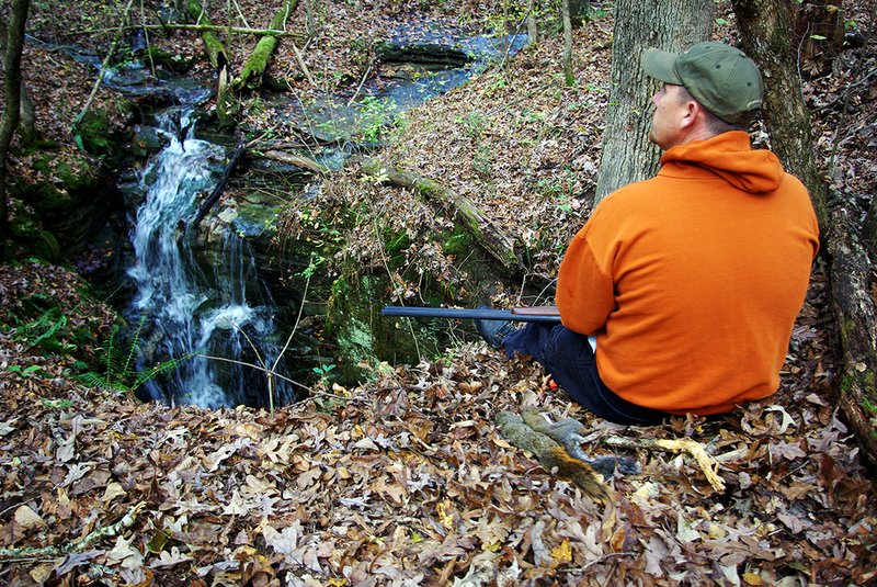 Josh Sutton of Wynne watches for bushytails on an already-successful squirrel hunt in the Sylamore Wildlife Management Area. Plentiful squirrels this year should provide a bounty for hunters.