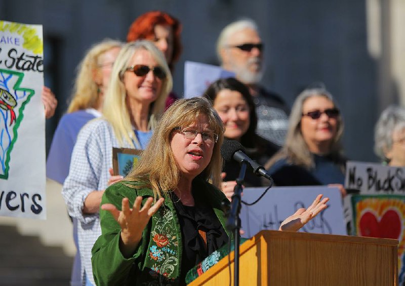 Denise White Parkinson speaks against the Diamond pipeline Tuesday at a rally at the state Capitol. Parkinson organized the event with the Arkansas Renewable Energy Association.