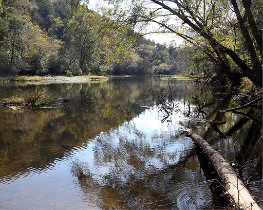 Gillham Lake Great Place To Fish When Weather Turns Colder