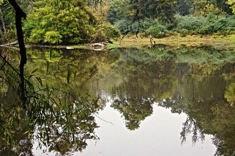 Boyle Park’s wildlife pond offers a quiet slice of nature in the middle of Little Rock