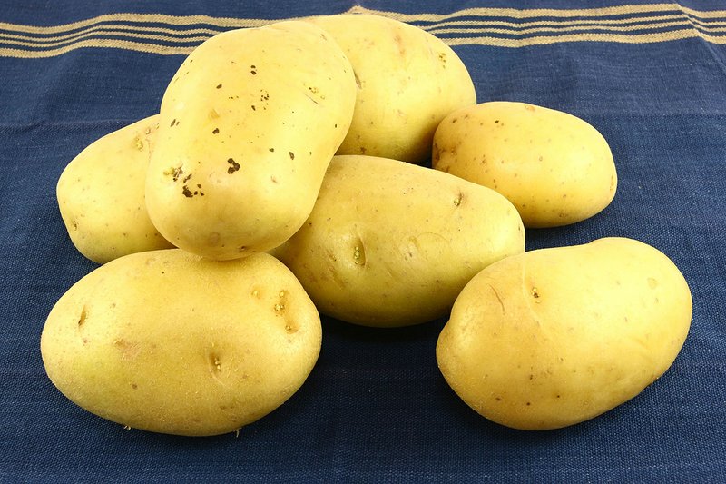 Rich-tasting Yukon Gold potatoes make a tasty side dish.