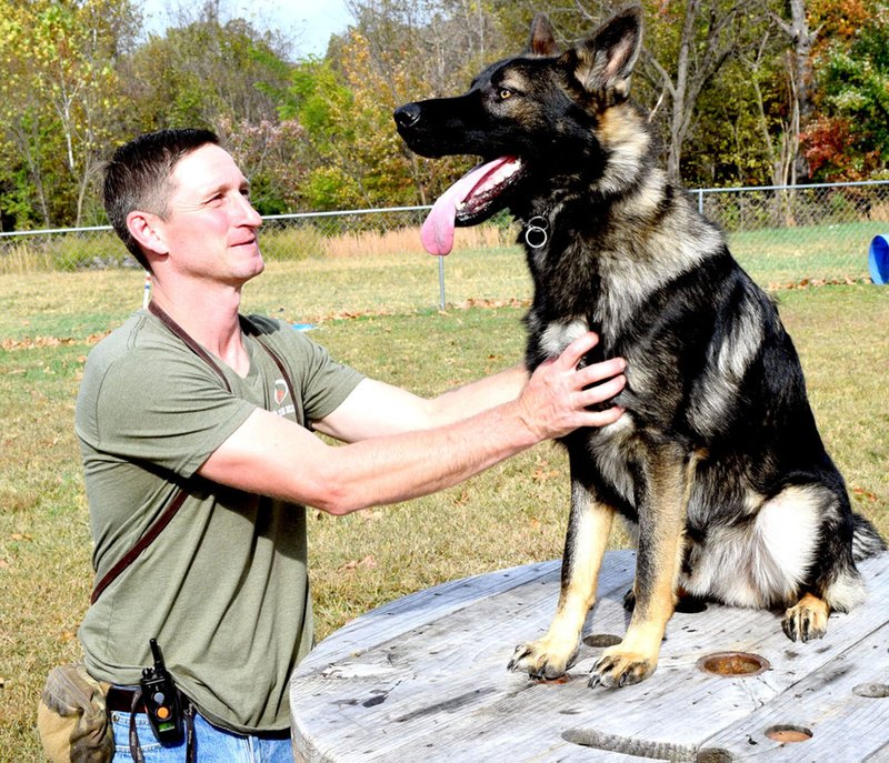 Mike Wood gives a command to “stay” to Low Key during a working session at Ozark Canine Academy near Decatur Nov. 2. Low Key, an 18-month-old German Shepherd, is in training as a seeing-eye service dog.