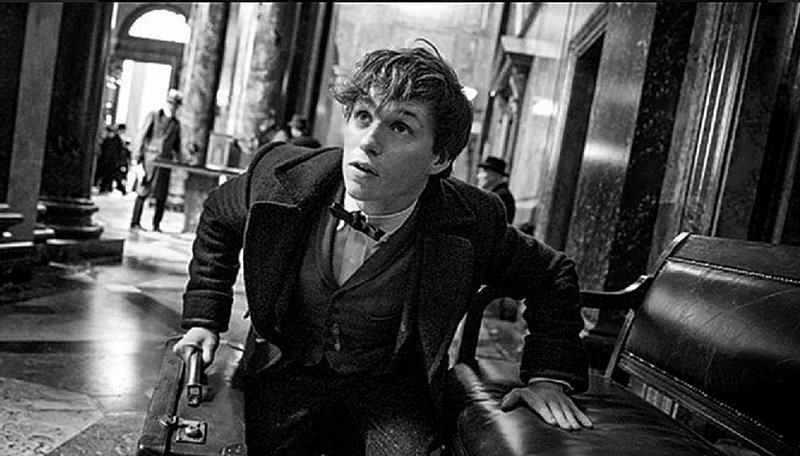 Eddie Redmayne has the lead role as writer Newt Scamander in J.K. Rowling’s Fantastic Beasts and Where to Find Them. It came in first at last weekend’s box office and made $74.4 million.
