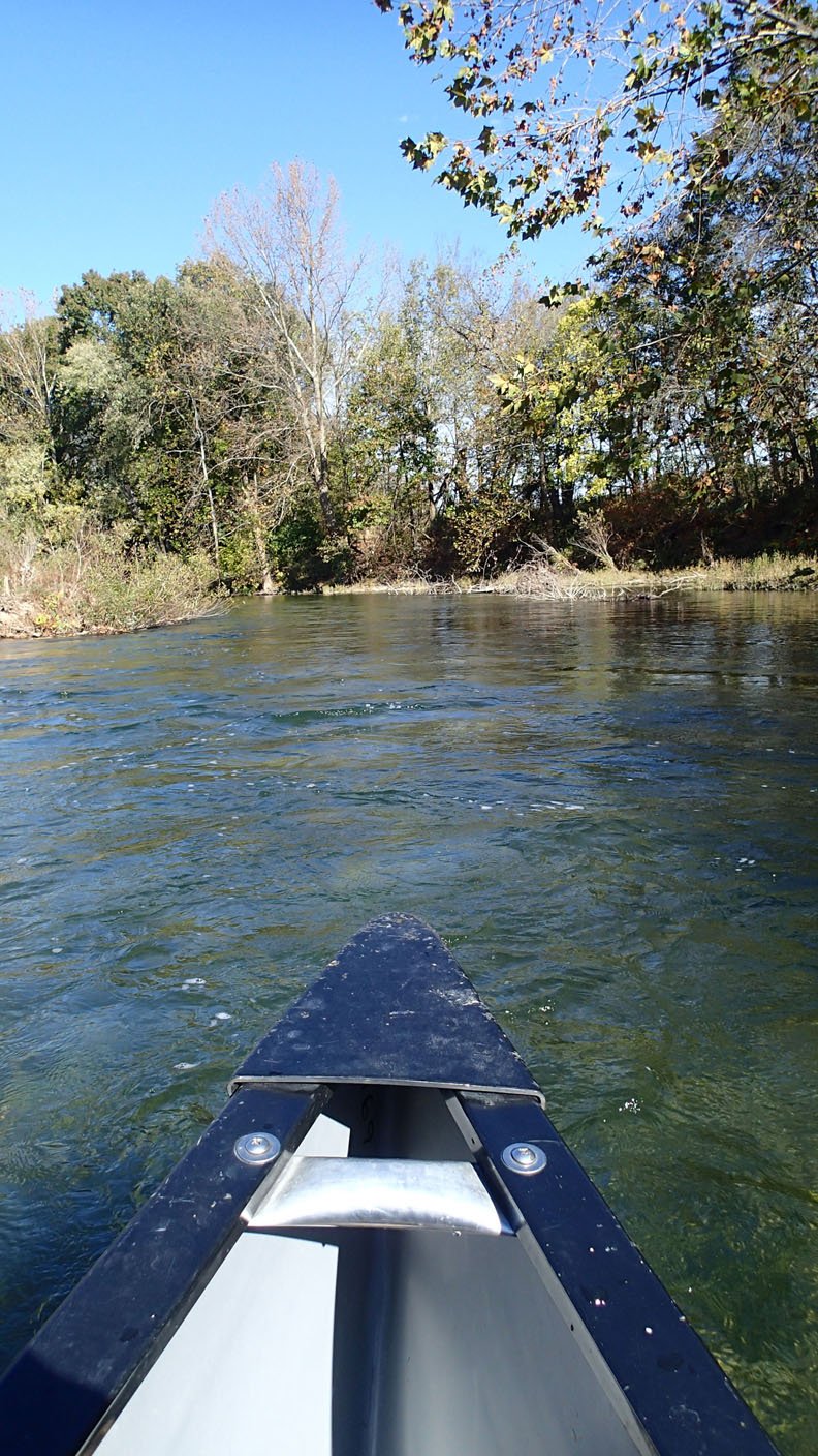 Canoeing quiet, scenic on lower stretch of Elk River