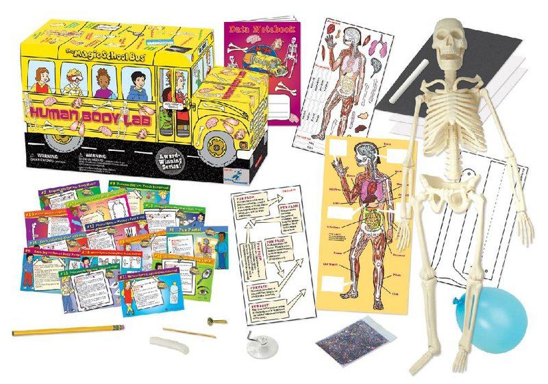 Learn about fingerprinting, taking a pulse and other health tasks with the Young Scientists Club’s Magic School Bus Human Body Lab.
