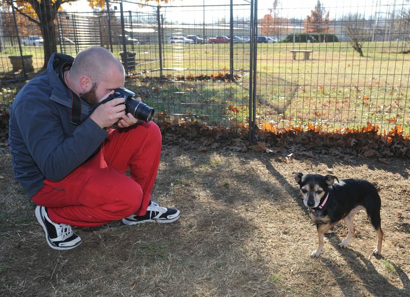 Gage Williams, a shelter attendant for Fayetteville Animal Services, pauses Wednesday to take a photograph of Kai, a dog who has just recently arrived at the shelter. 