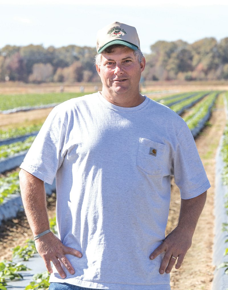 Tim Odom stands in the strawberry fields of Holland Bottom Farm LLC. Odom took over the farm after his father, Larry Odom, died last year. Strawberries are the most popular crop, Tim said, and they are going to take a lot of care before the harvest next spring.