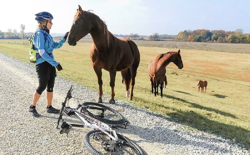 Michelle Jackson of Lavaca greets a horse Nov. 26 along the Big River Trail about 12 miles from West Memphis. Planned to extend to the Gulf Coast, the trail includes 73 miles of gravel-topped levee.