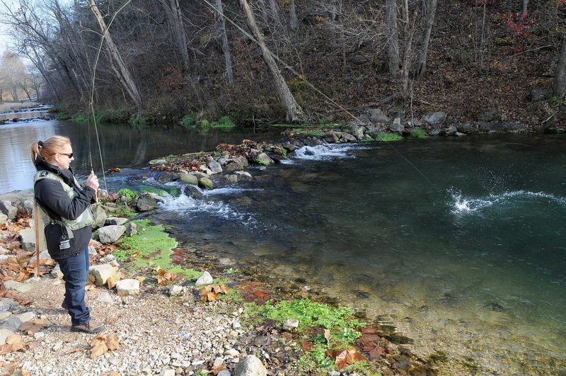 Trout take chill off winter at Roaring River State Park