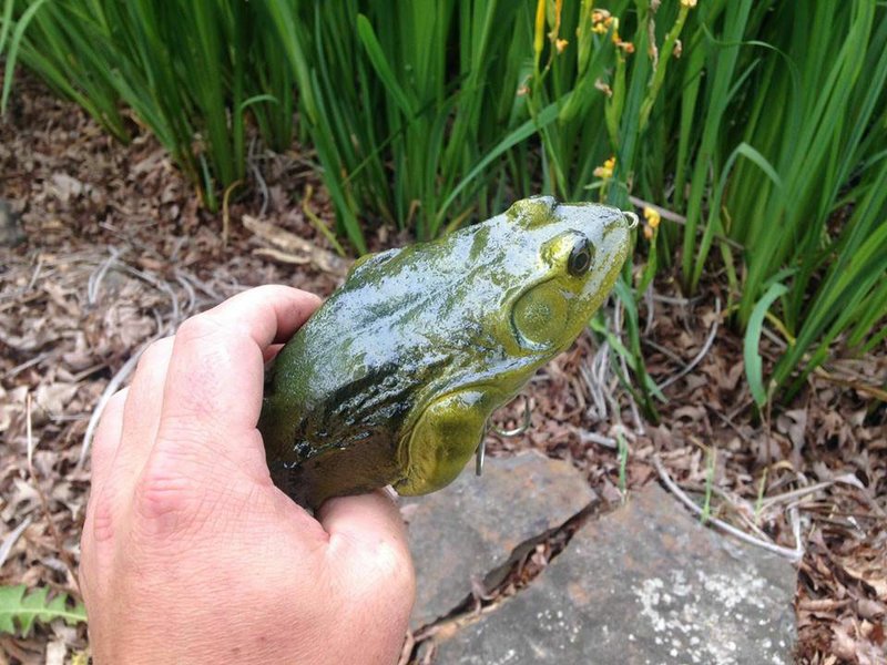 Kevin Brightwell of Harrison, who owns KGB Swimbaits, and his KGBullfrog. The first KGBullfrog sold Monday on eBay for $1,675.