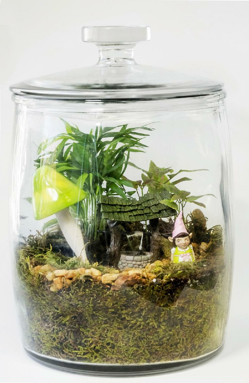 The author’s terrarium was built in no time during a class at the Good Earth Garden Center in Little Rock.