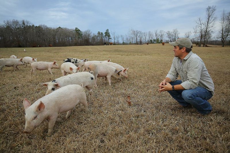 Damon Helton, a retired Army Ranger, runs a farm in Garland County and has credited the work with helping him heal from the post-traumatic stress of five deployments to Afghanistan and Iraq.